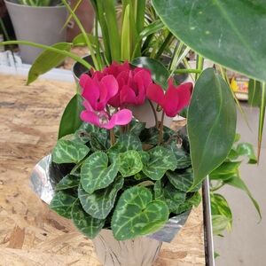 Old piece 14k solid gold ruby pearl bracelet